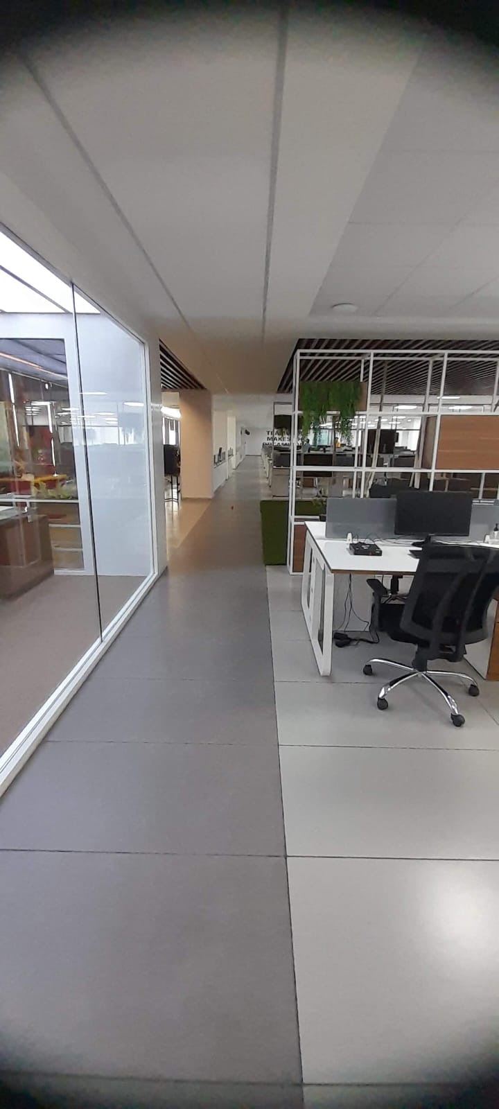 Office fit-out — reception area with glass partitions
